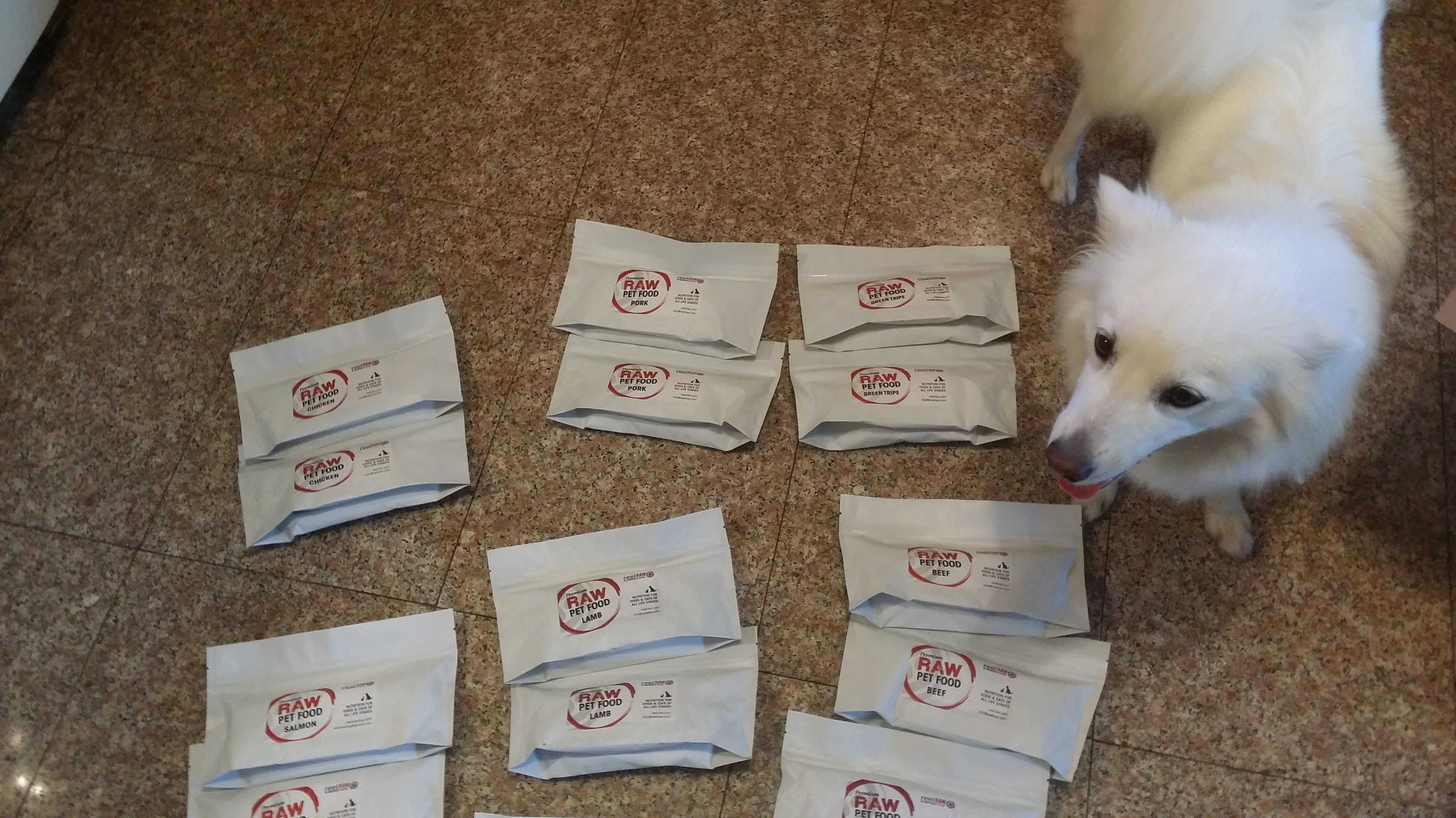 reel raw dog food delivery service
